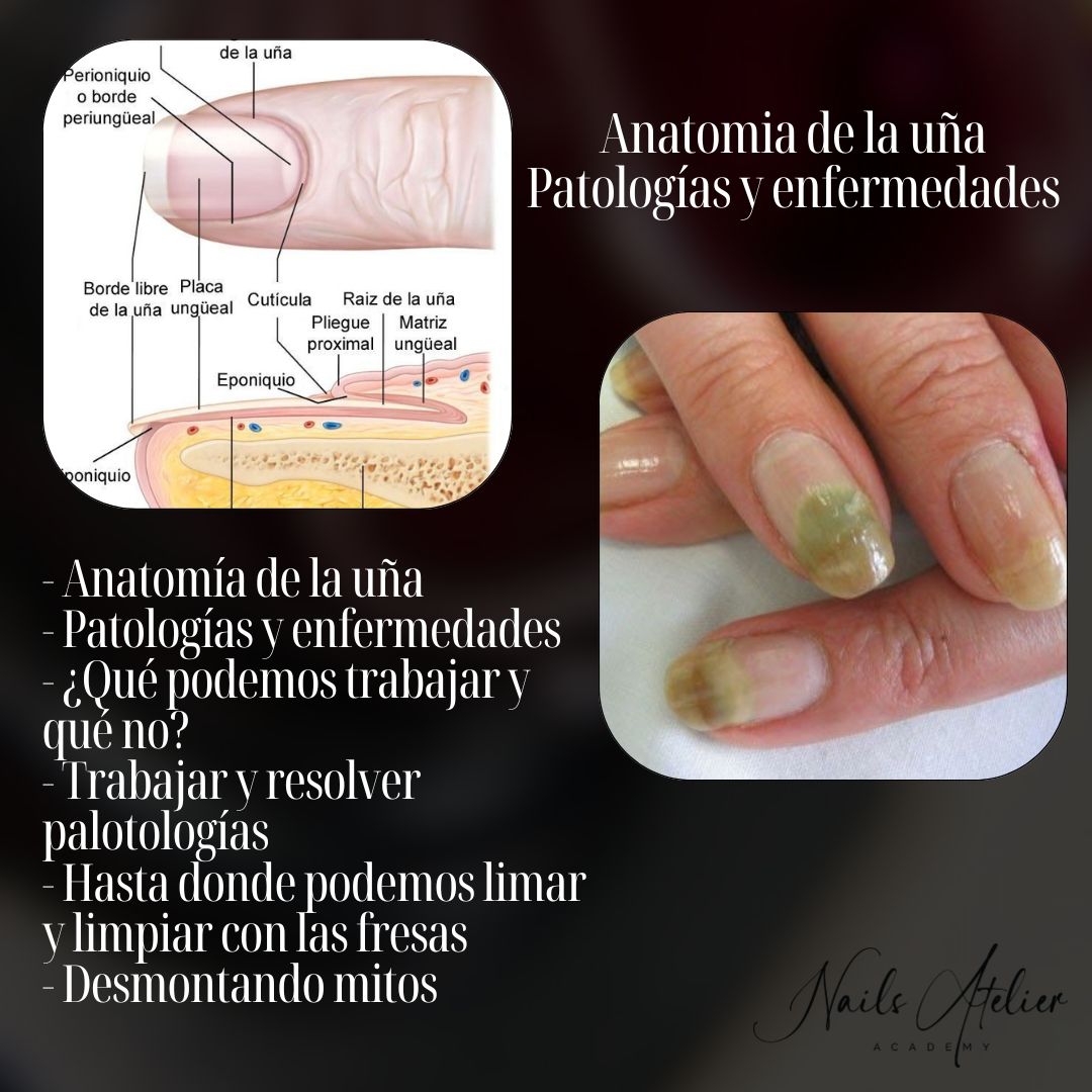 Curso Técnico Manicurista – Formación y cursos, de Academia | Polymnea (foto 7/9)
